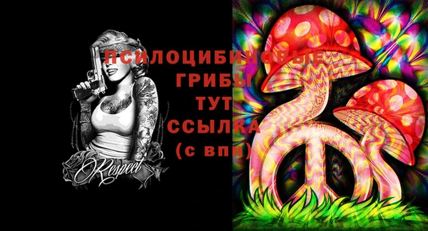 меф Няндома
