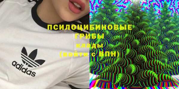 ECSTASY Абаза
