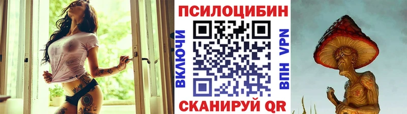 купить наркотик  Костомукша  Галлюциногенные грибы Psilocybe 
