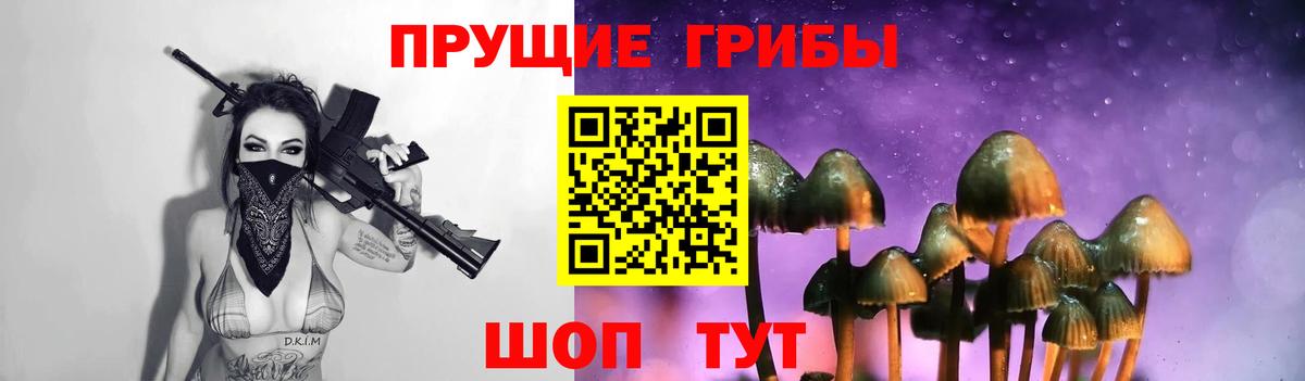 купить  сайты  Псилоцибиновые грибы прущие грибы  Вход с VPN  Костомукша  Псилоцибиновые грибы Psilocybe 