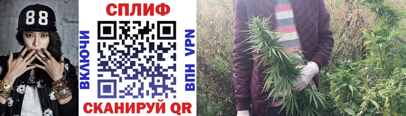 Каннабис гибрид  ссылка на мегу онион  Костомукша 